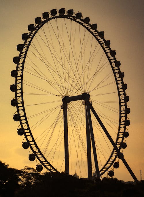 Free Ferris Wheel at Sunset Stock Photo