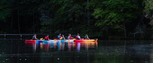 Free People on Kayak Boat Near Green Leafed Trees Stock Photo