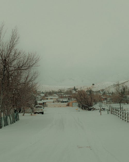 下雪的天氣, 光秃秃的, 冬季 的 免费素材图片