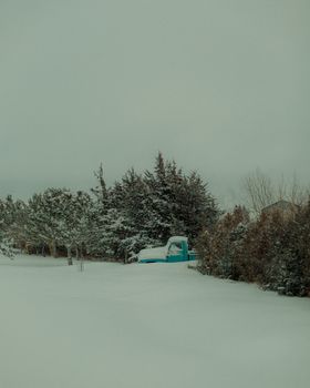 A serene winter landscape featuring a snow-covered vintage truck amidst evergreen trees.