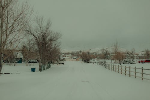 Бесплатное стоковое фото с автомобили, деревья, дома