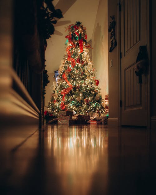 Foto profissional grátis de árvore de Natal, celebração, cordão de lâmpadas