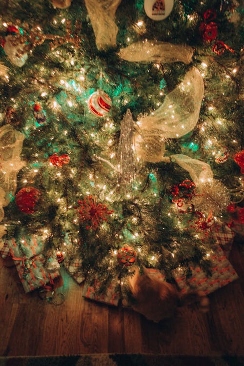 Gratis stockfoto met detailopname, kerstdecoratie, kerstlampen