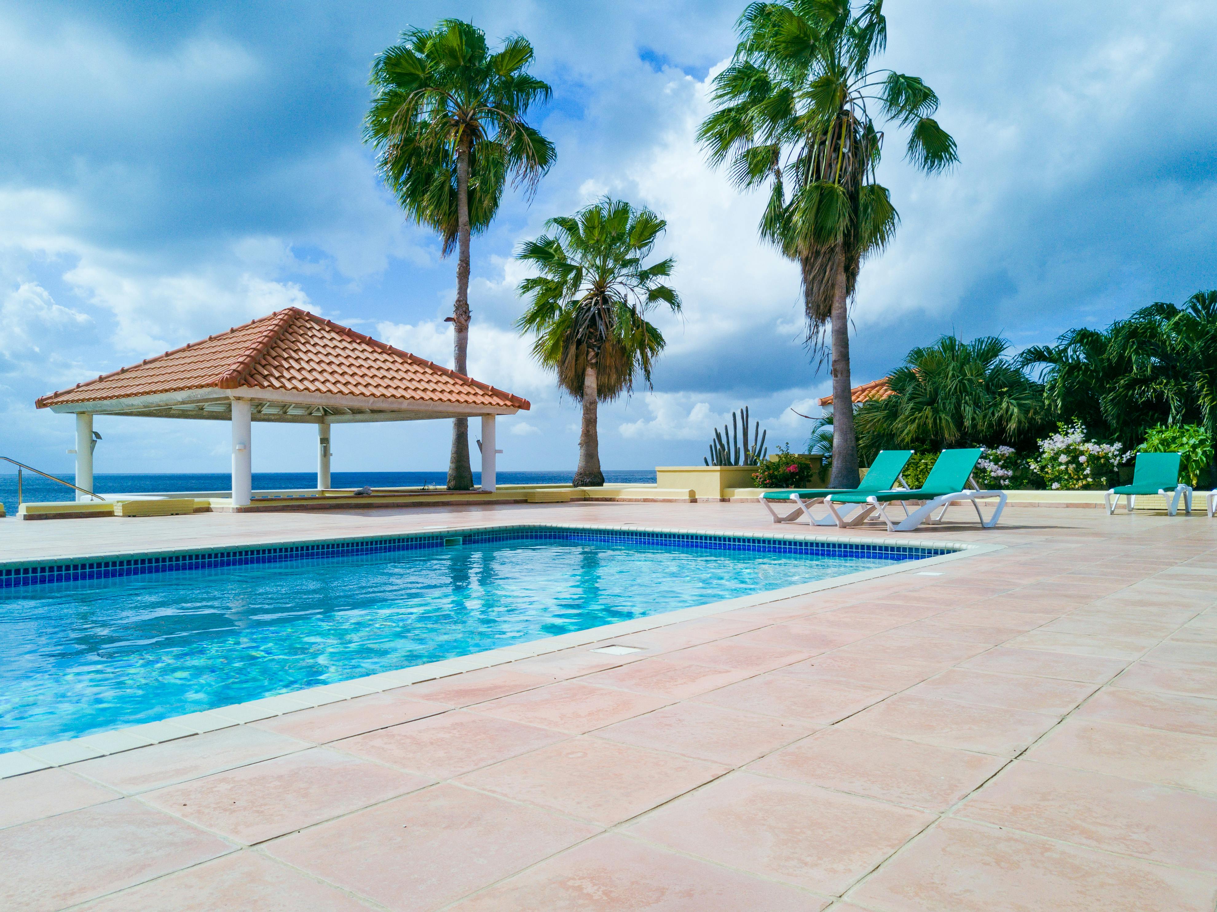 Relaxing tropical resort poolside view with palm trees and deckchairs. - Photo by IslandHopper X on Pexels