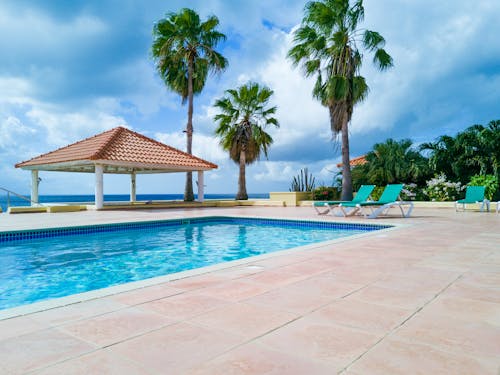 Palm Trees by Swimming Pool in Hotel