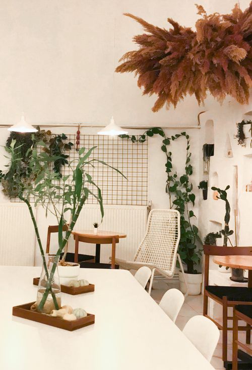 Free Aesthetic indoor space featuring plants, modern furniture, and chic decor. Stock Photo