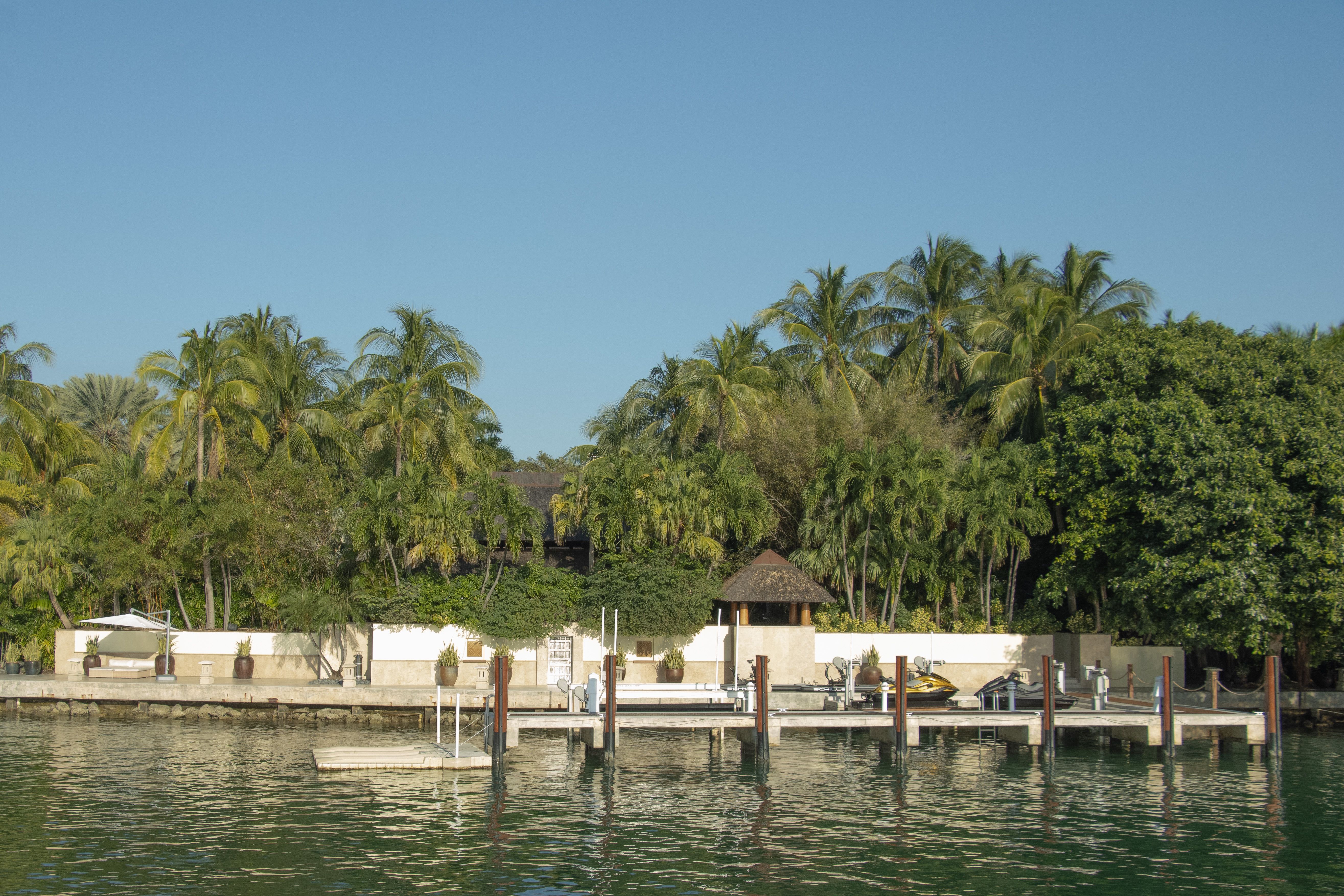 Scenic view of a tropical pier and lush palm trees in Miami, Florida.