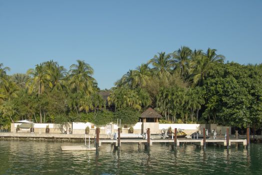 Scenic view of a tropical pier and lush palm trees in Miami, Florida.
