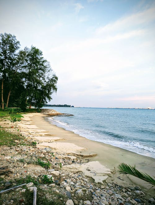 Coastal Beach