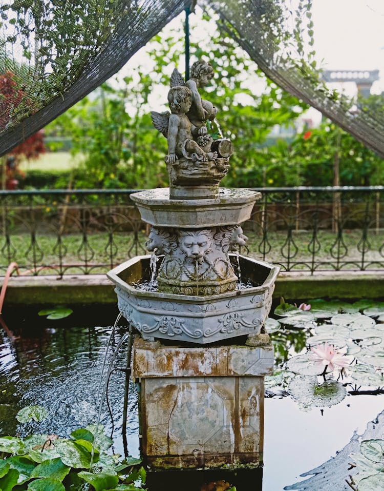 Fountain In A Pond 