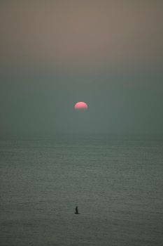 Peaceful sunrise over the calm sea in Donghae-si, South Korea, with a lone bird soaring. Perfect for serene and peaceful themes.