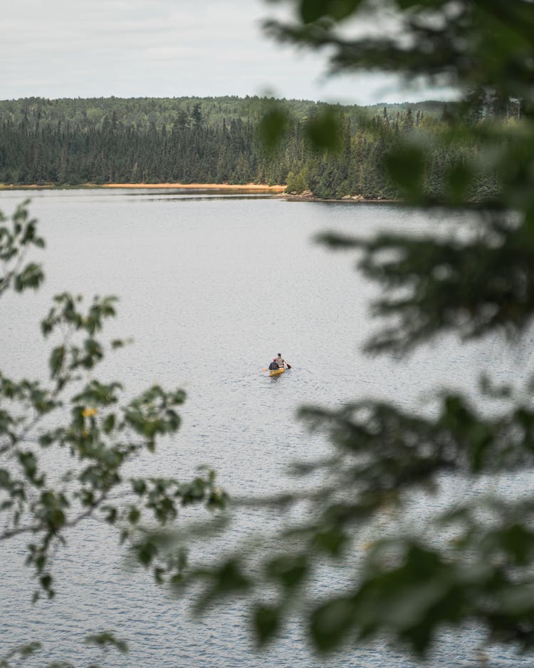 View Of A Person Canoeing In A Lake