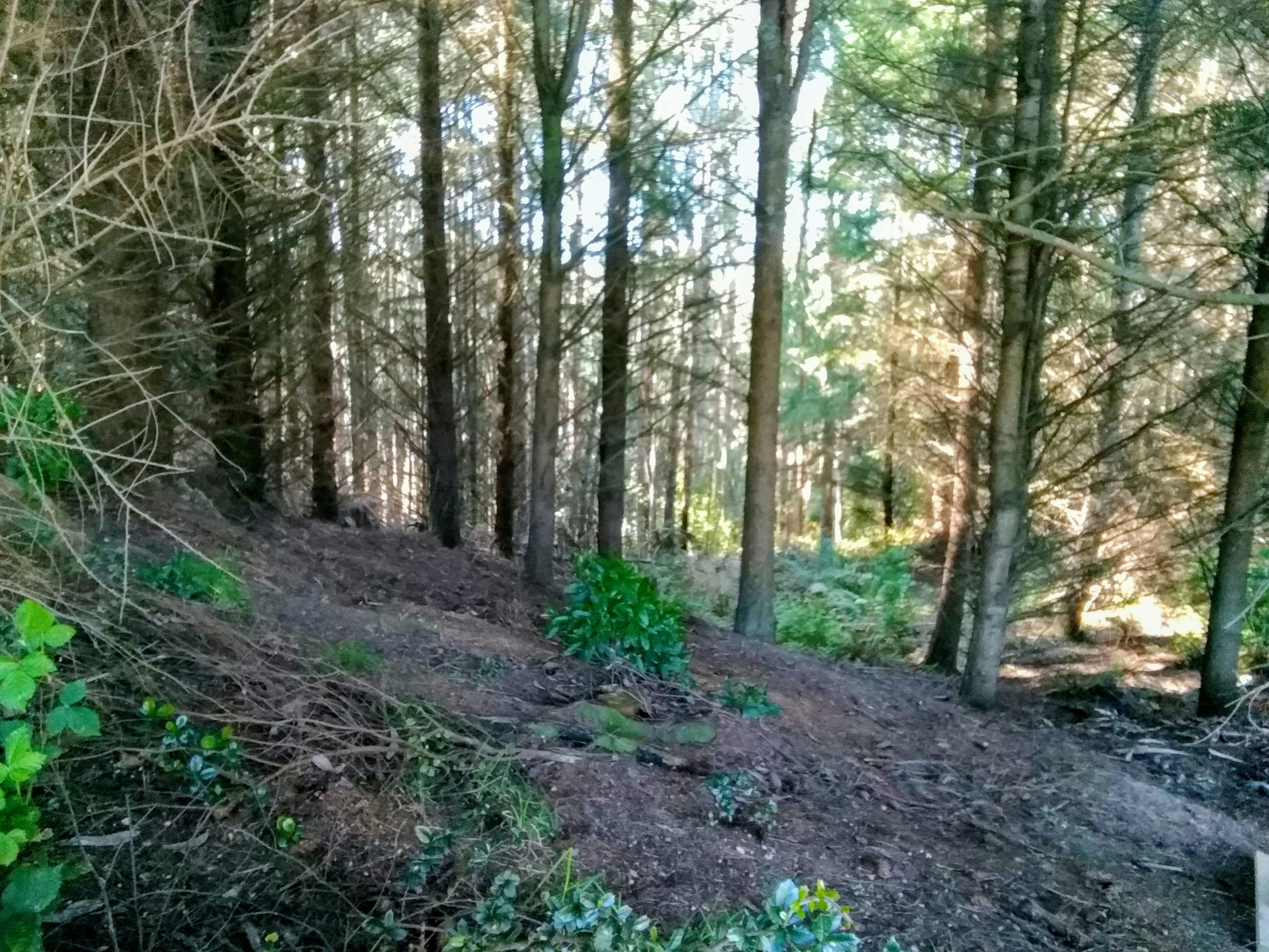 Vue panoramique de la Place du Marché Principal de Cracovie