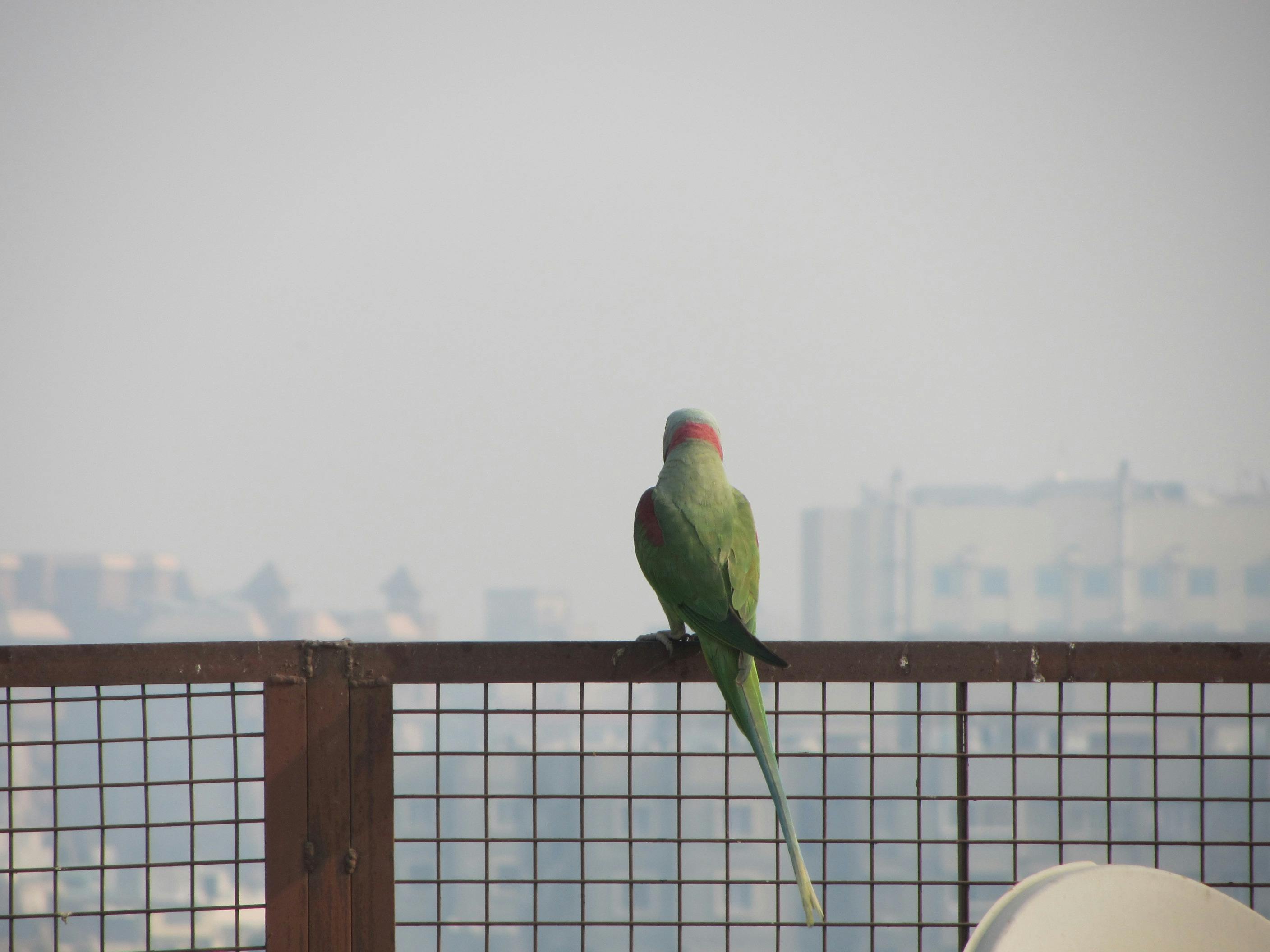 イングランド銀行の外観と金融政策の象徴