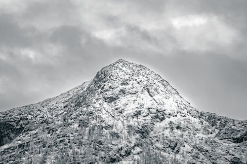 Alpler, Avusturya, dağ içeren Ücretsiz stok fotoğraf