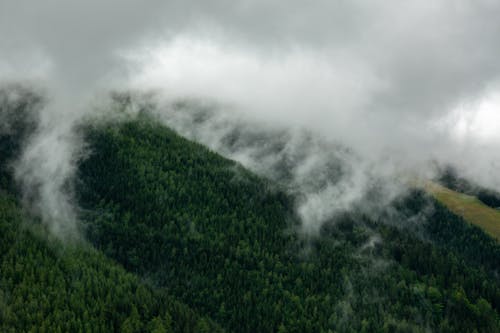 Бесплатное стоковое фото с зеленый, лес, облака