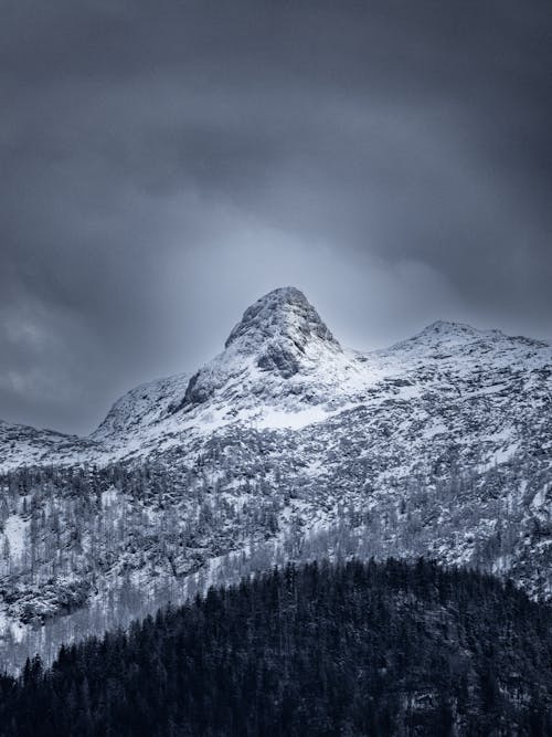 Rocky Mountains Covered with Snow 