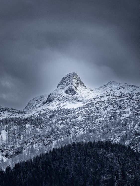 Foto profissional grátis de árvores, coberto de neve, colinas