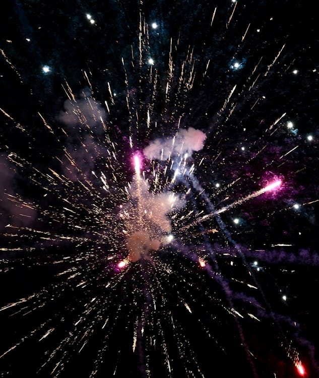 Fireworks Display in the Night Sky