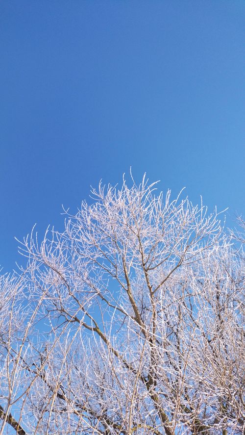 Free stock photo of beautiful sky, blue sky, bluesky Stock Photo