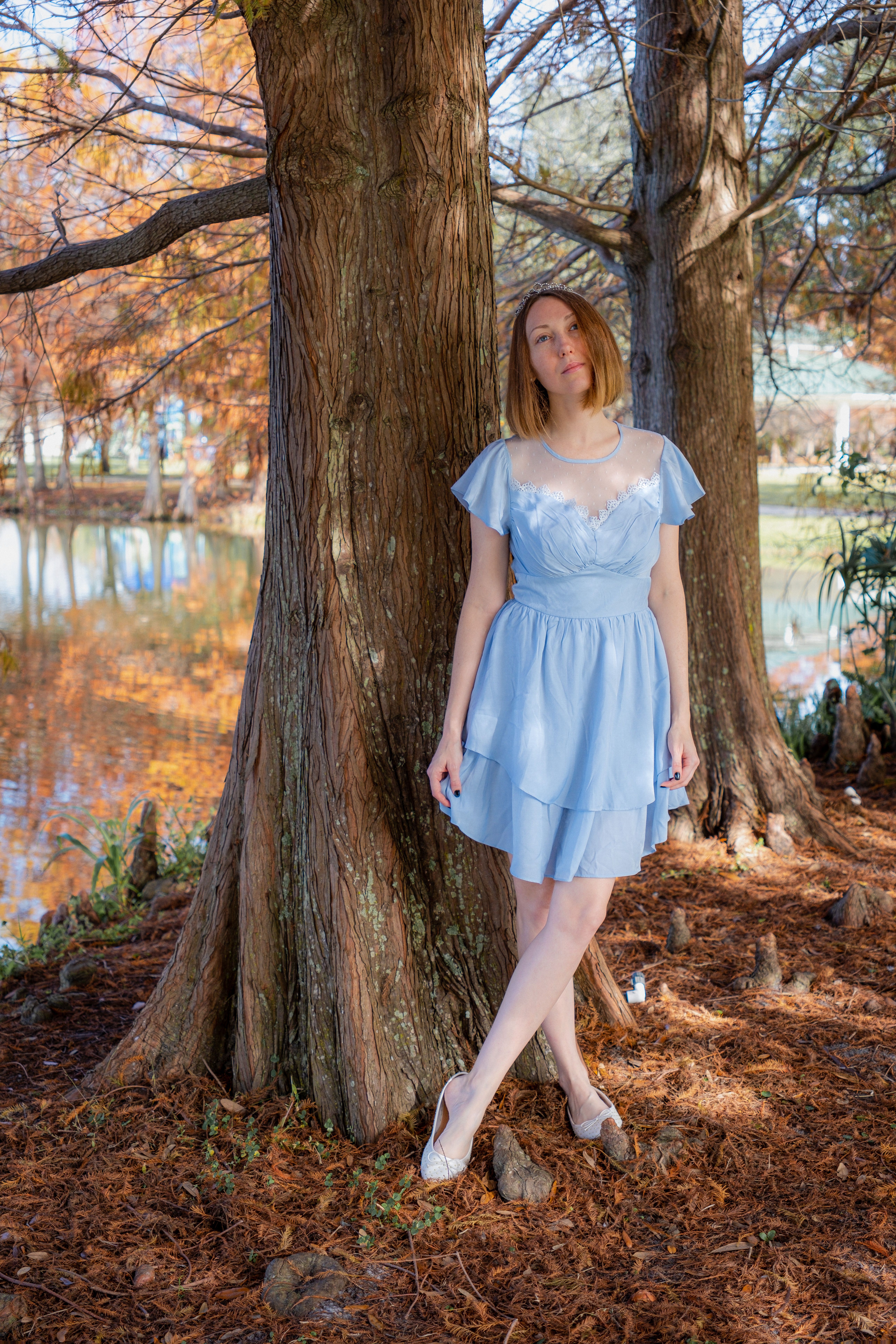 Dusty Blue Fall Dress Photos, Download The BEST Free Dusty Blue Fall Dress  Stock Photos & HD Images