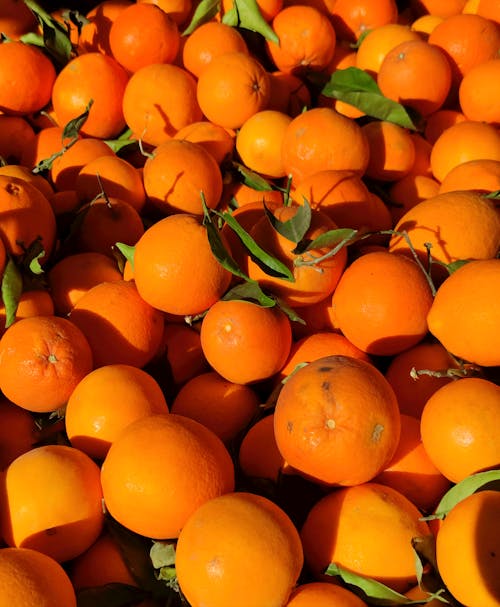 Close Up Photo of Oranges