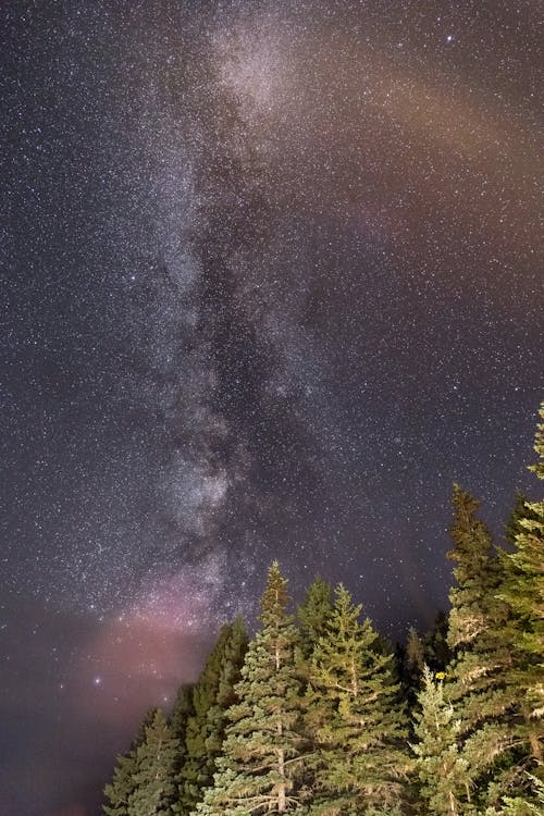 Бесплатное стоковое фото с galaxy, Астрономия, деревья