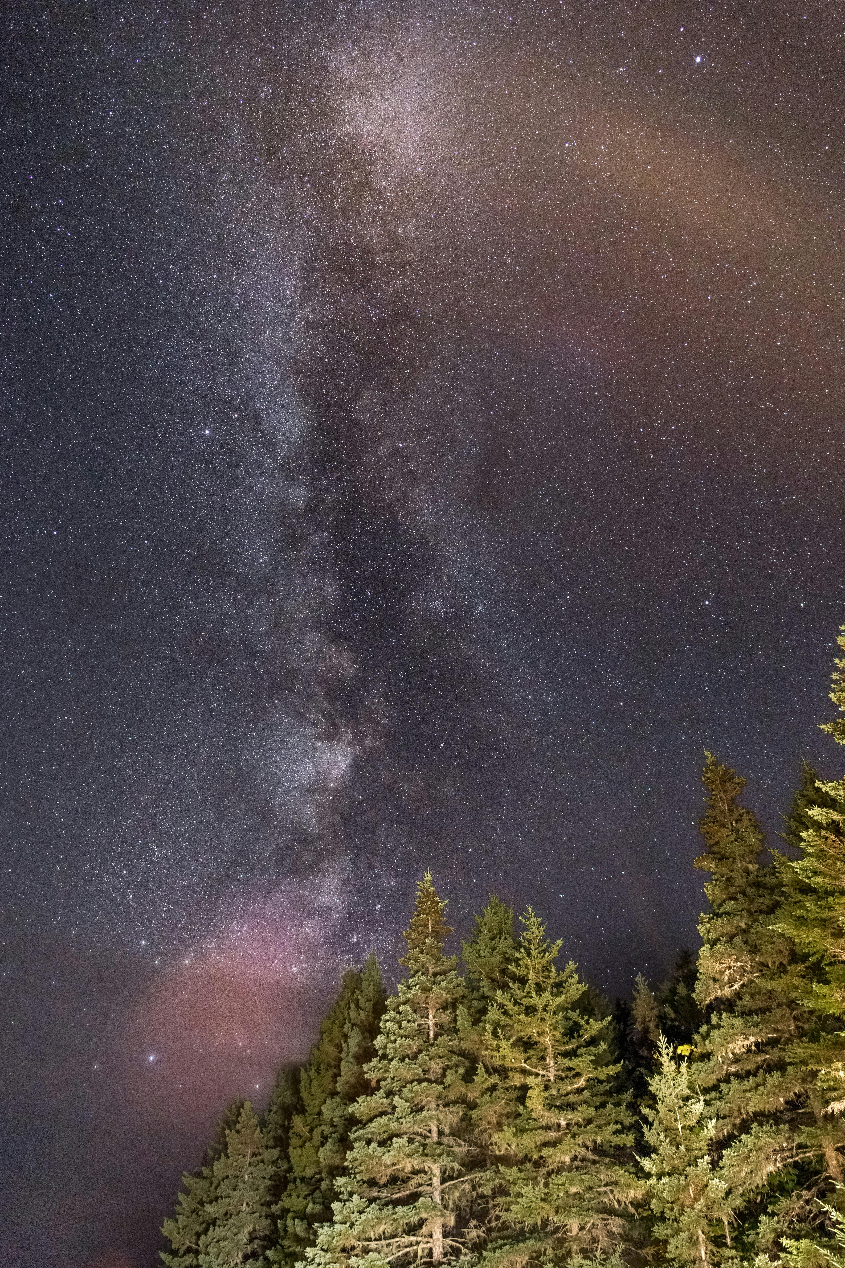 free nature stock photography