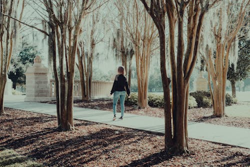 Woman Standing on Paved Pathway Beside Bare Trees