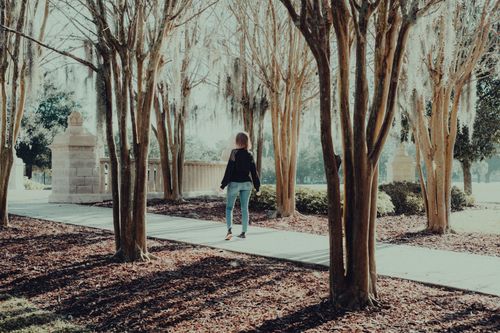 Free A woman walks down a tree-lined pathway in a serene park under the soft daylight. Stock Photo
