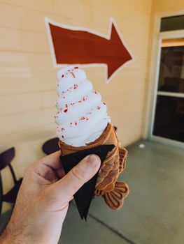 Hand holding vanilla ice cream cone shaped like a fish, perfect for summer treats.
