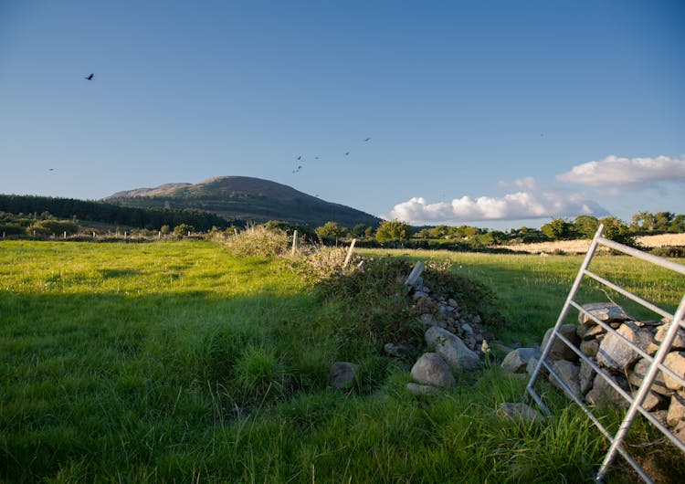 Slieve Gullion Under Blue Sky