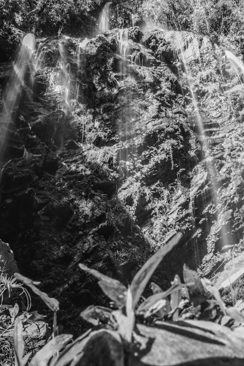 Darmowe zdjęcie z galerii z 4k, czarno-biały, monochromatyczny