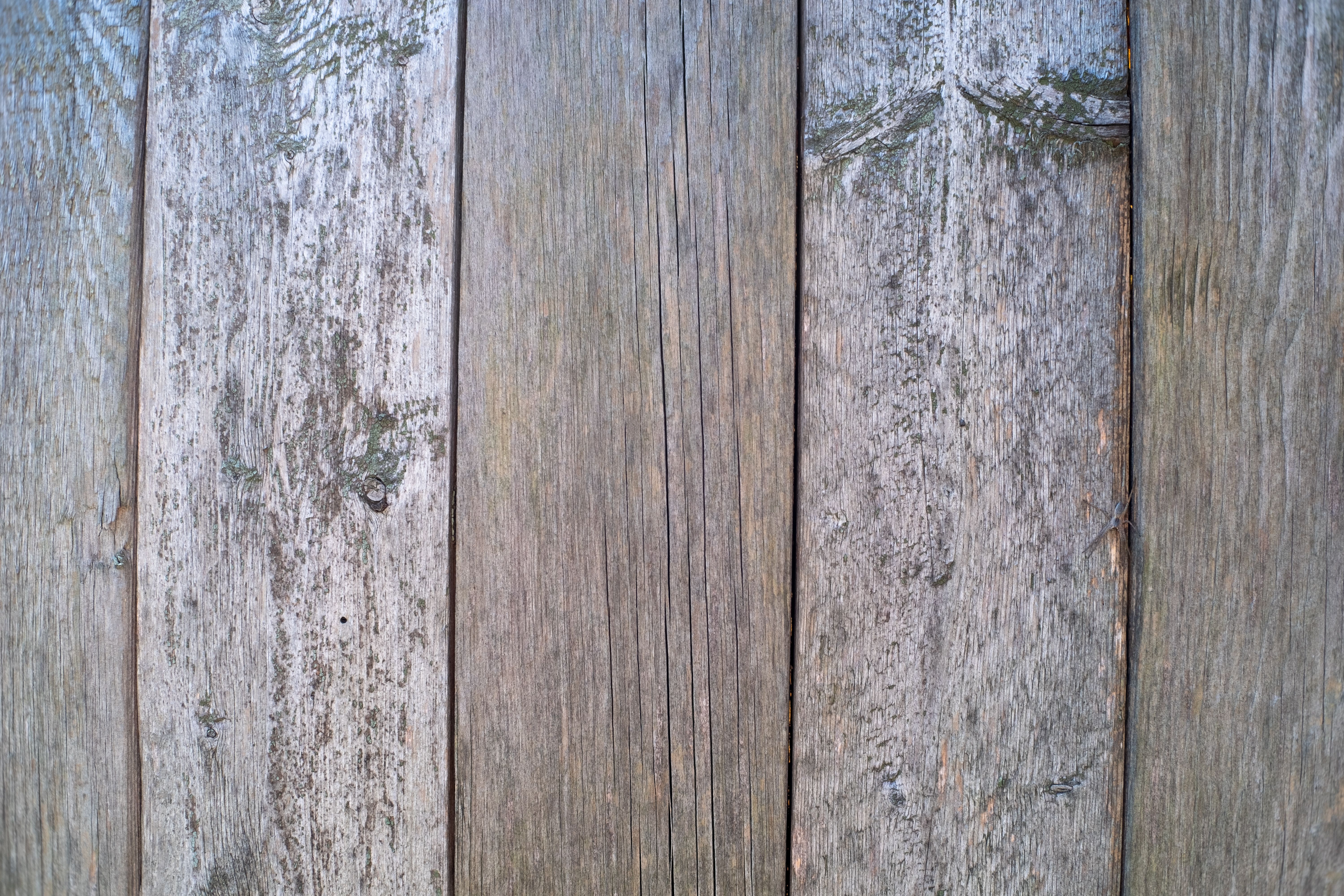 Exterior Painting in New Eltham — woodwork brushed to a crisp, smooth line