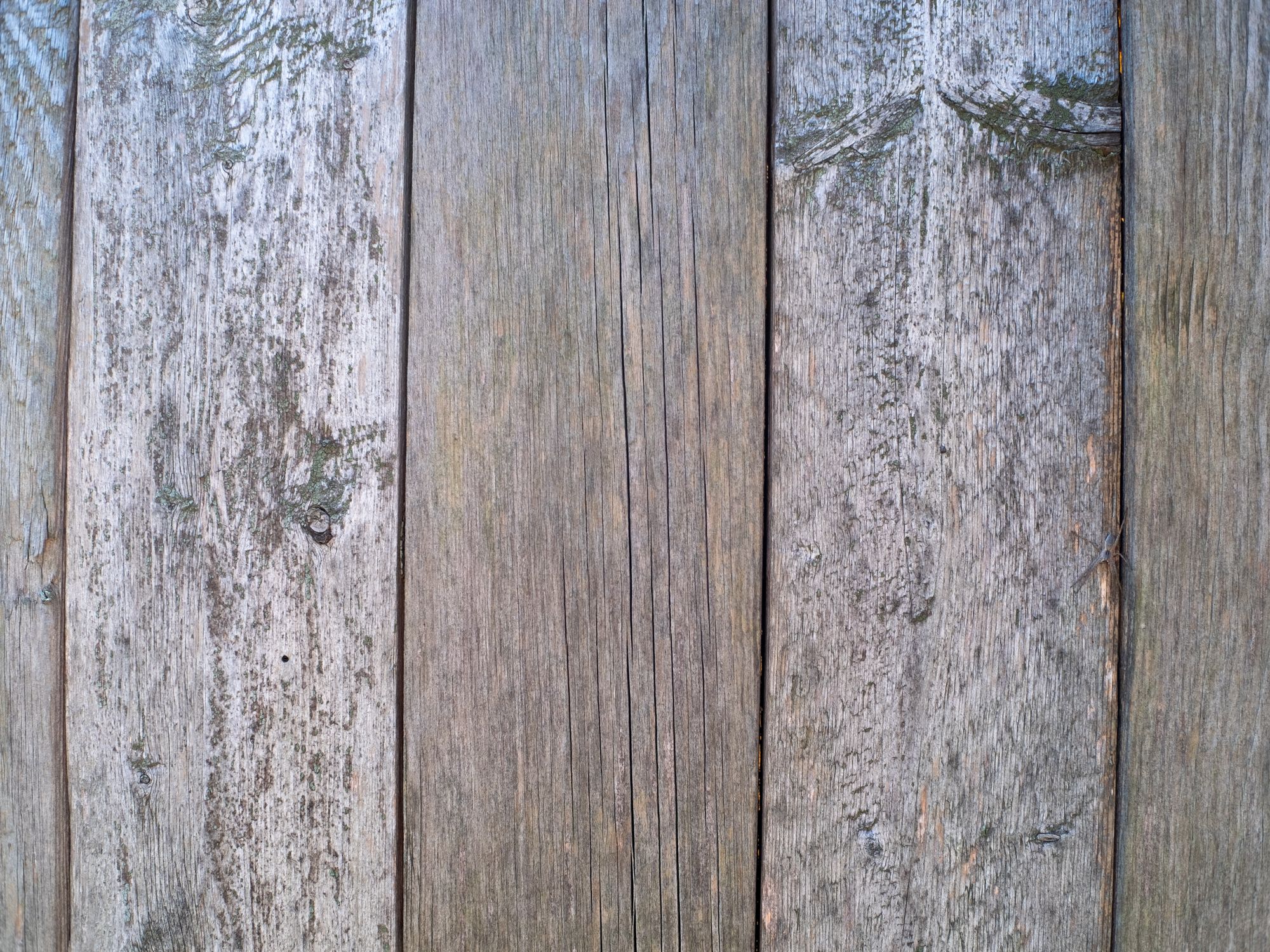 Fence and Decking Painting in Southgate, Enfield — garden fence being painted with weatherproof wood finish