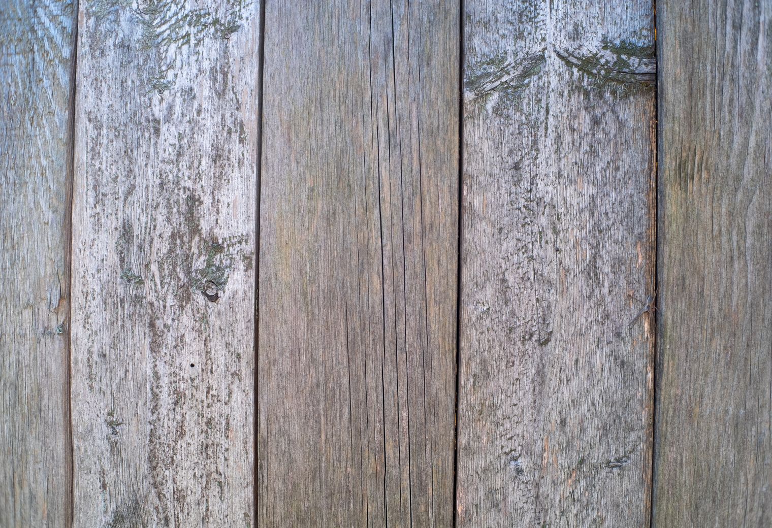 Exterior Painting in New Eltham — woodwork brushed to a crisp, smooth line