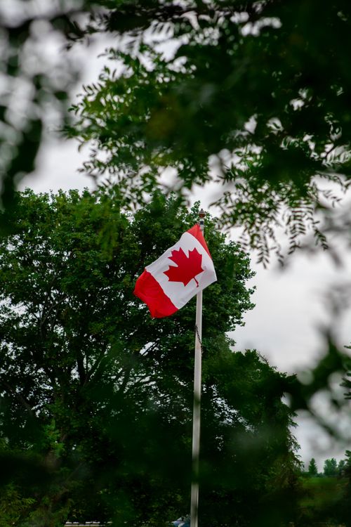 Free A vibrant Canadian flag waves on a flagpole surrounded by lush green trees. Stock Photo
