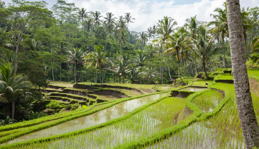 Jour 1 à Bali