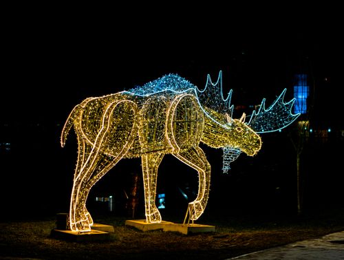 Free A stunning night display of an illuminated moose sculpture created with decorative lights. Stock Photo