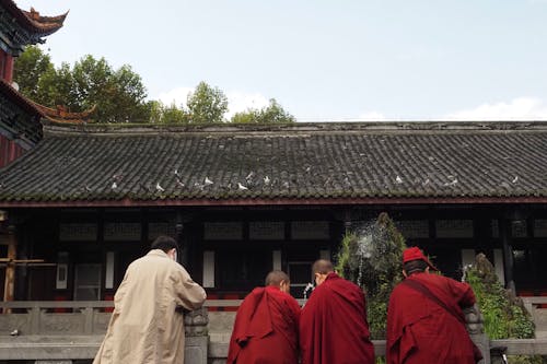 Free stock photo of buddhist temple, master, 昭觉寺