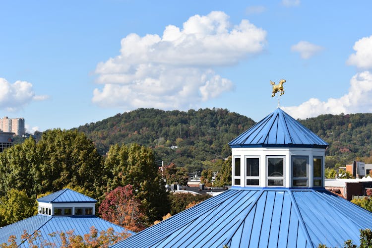 Wind Vane On Top Of The Roof