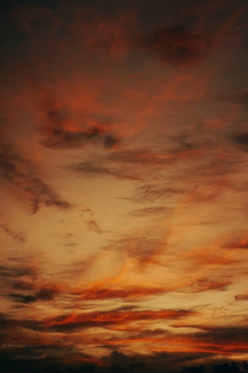 Gratis stockfoto met dageraad, hemel, lucht