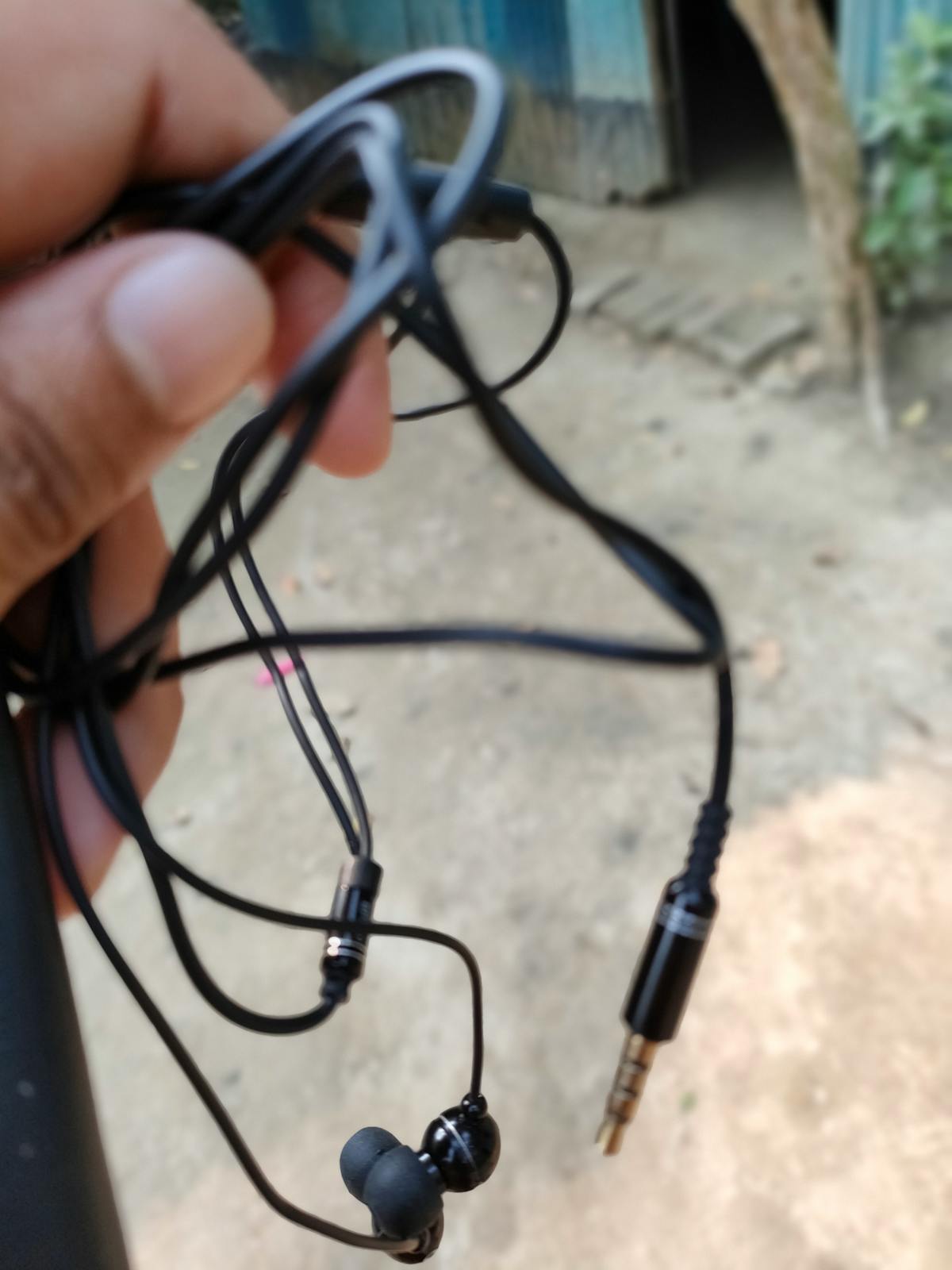 Photographer in a park capturing birds with a camera