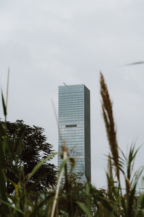 Free A modern skyscraper stands tall amidst greenery, showcasing urban architecture in a natural setting. Stock Photo