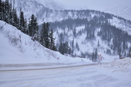 Road in Snow in Mountains Landscape