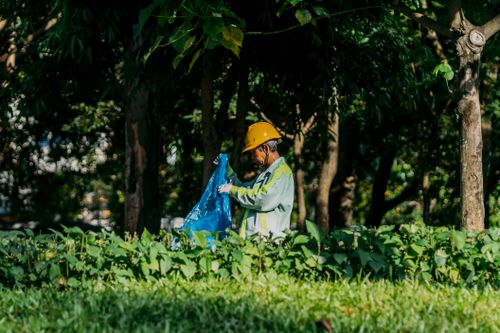 Free A worker in a hard hat collects trash in a lush green park setting. Stock Photo