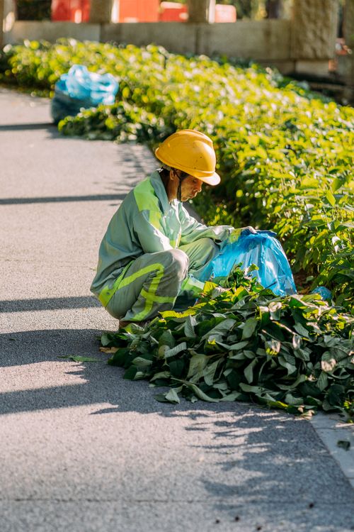 Free Gardener collecting leaves in an urban park, wearing safety uniform and helmet during summer. Stock Photo