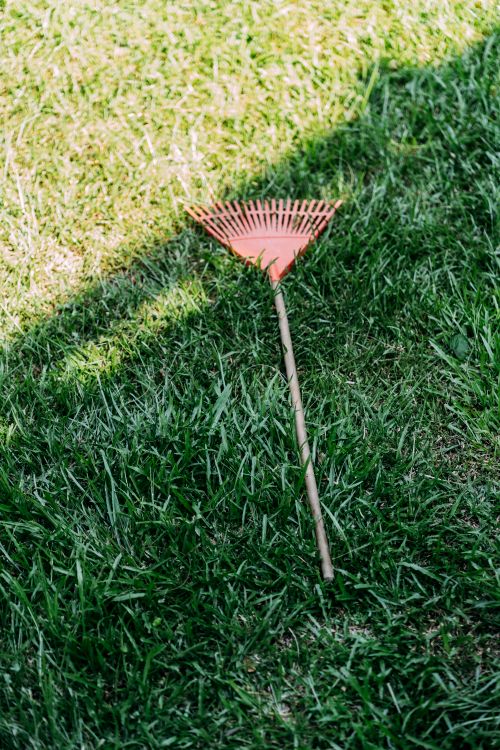Free A vibrant orange rake positioned on bright green grass, ideal for gardening themes. Stock Photo