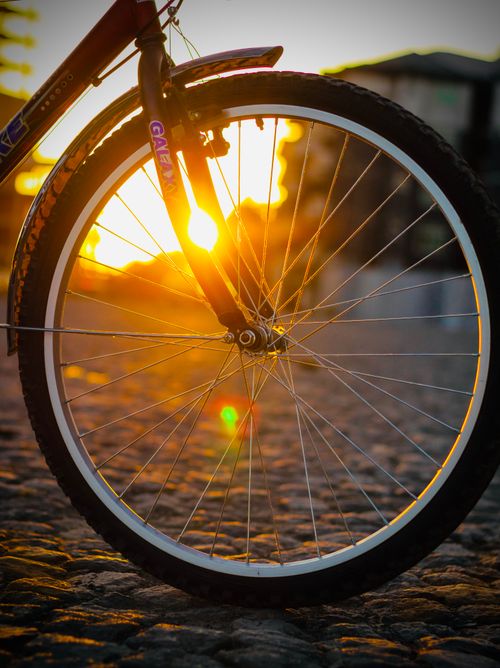 Free Close-up of a bicycle wheel with sunlit spokes on a cobblestone street in Ethiopia. Stock Photo