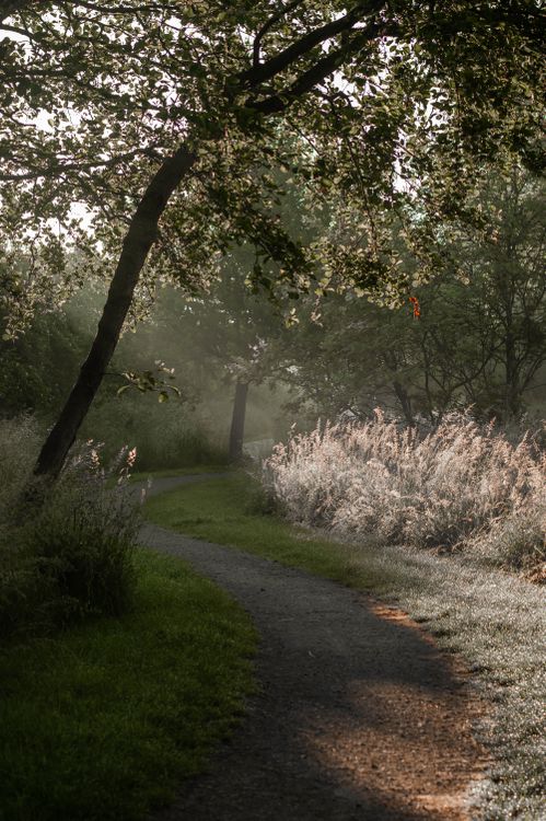 Winding Path in Countryside · Free Stock Photo